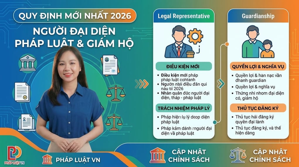 Quy định Người đại diện pháp luật & Giám hộ mới nhất 2026