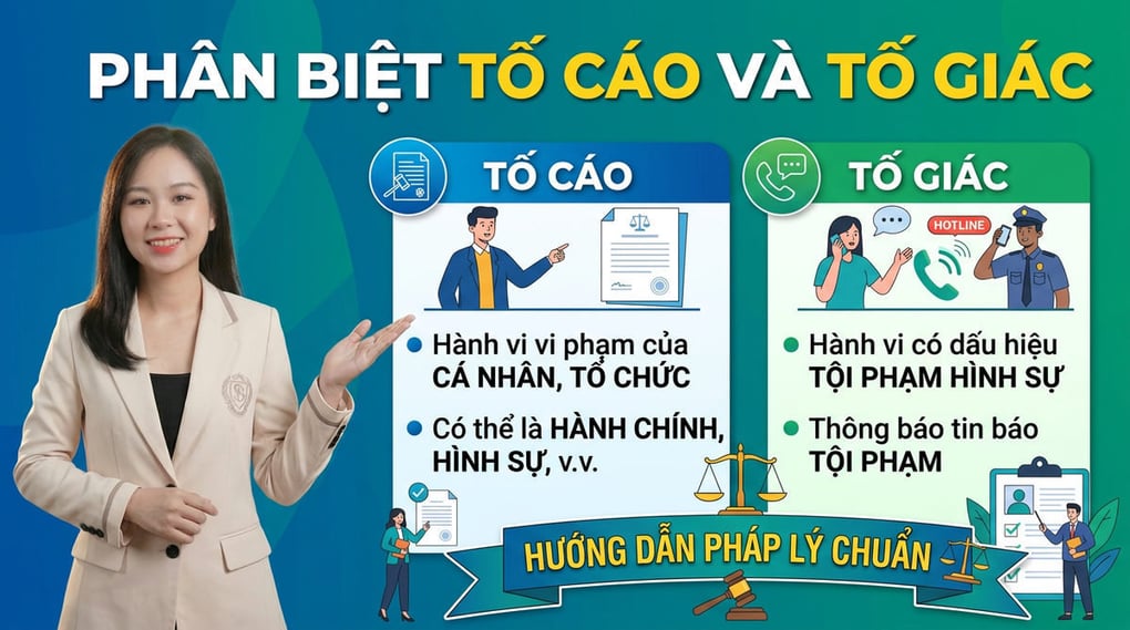 Phân biệt tố cáo và tố giác: Hướng dẫn pháp lý chuẩn