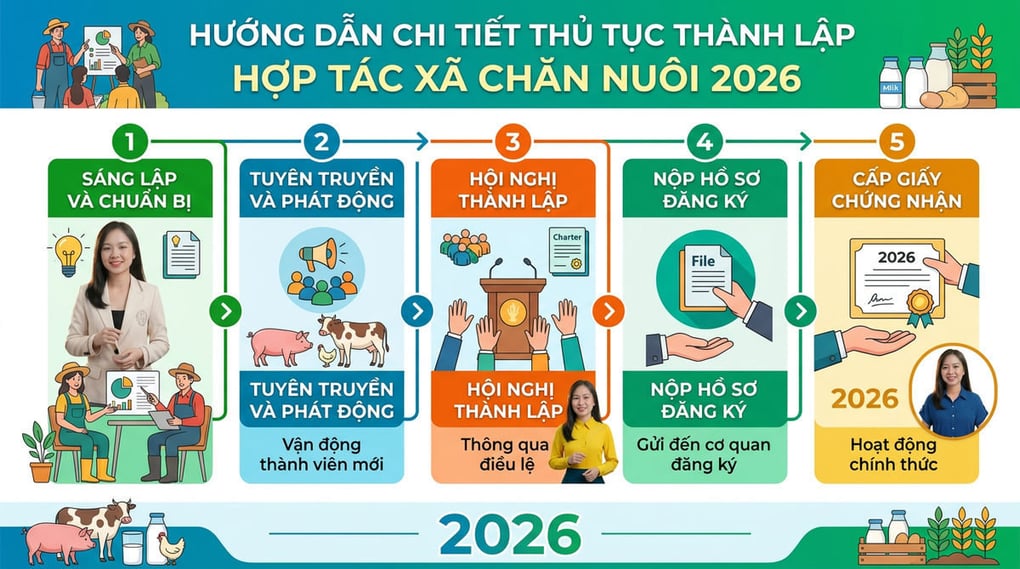 Thủ tục thành lập hợp tác xã chăn nuôi chi tiết 2026