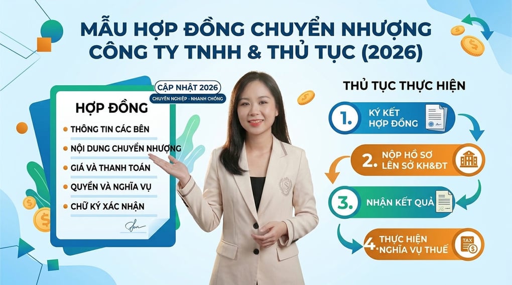 Mẫu hợp đồng chuyển nhượng công ty TNHH & Thủ tục (2026)