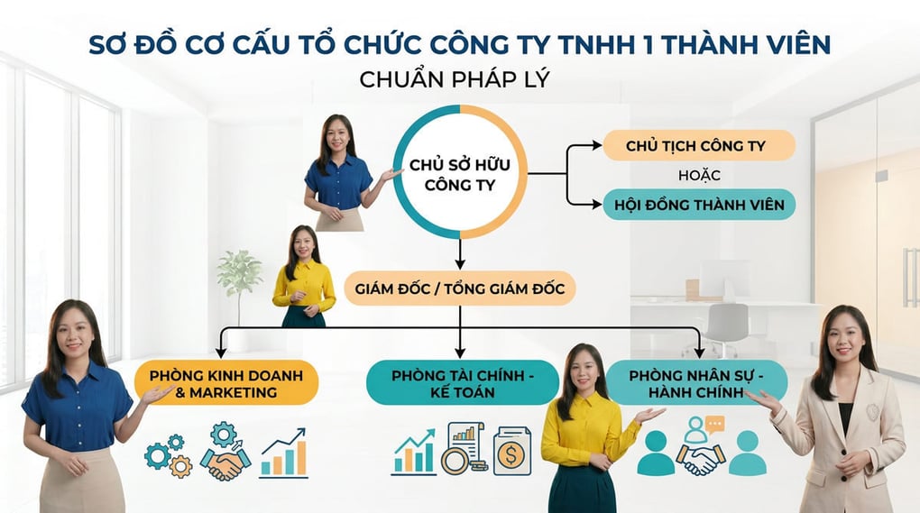 Cơ cấu tổ chức công ty TNHH 1 thành viên chuẩn pháp lý