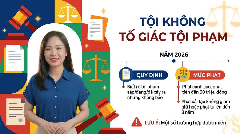 Tội không tố giác tội phạm: Quy định và Mức phạt 2026