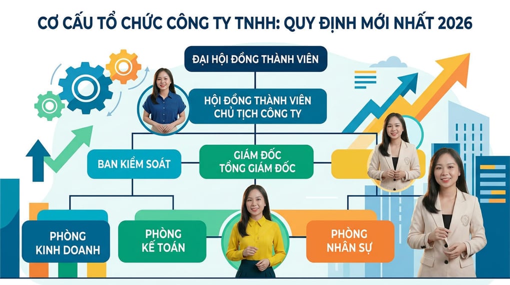Cơ cấu tổ chức công ty TNHH: Quy định mới nhất 2026
