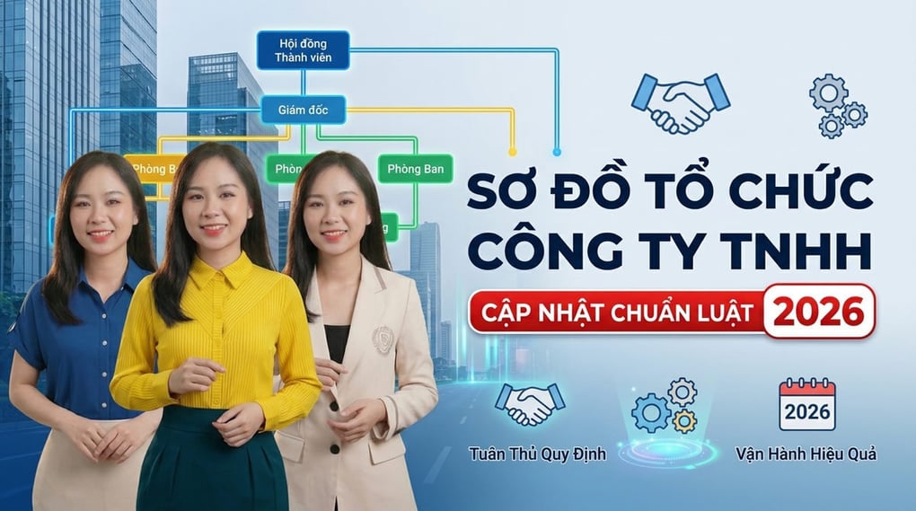 Sơ Đồ Tổ Chức Công Ty TNHH: Cập Nhật Chuẩn Luật 2026