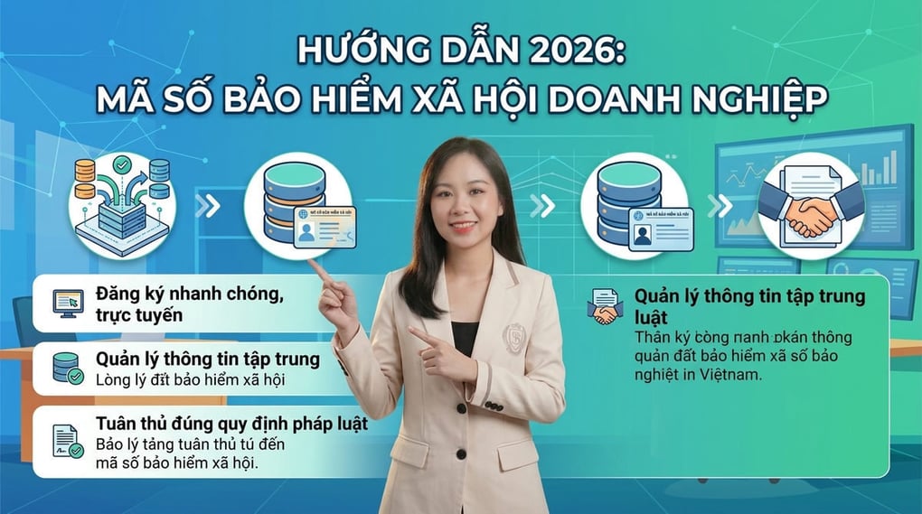 Mã số bảo hiểm xã hội của doanh nghiệp: Hướng dẫn 2026