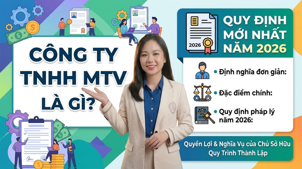 Công ty TNHH MTV là gì? Quy định mới nhất năm 2026