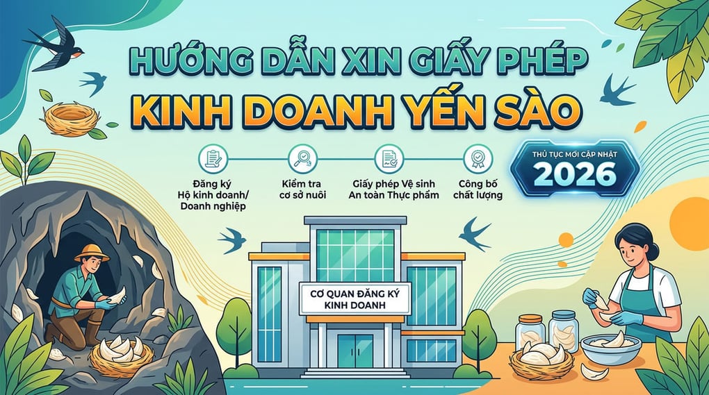 Xin giấy phép kinh doanh yến sào: Thủ tục mới 2026