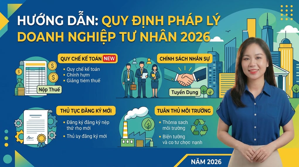 Ví dụ về doanh nghiệp tư nhân & Quy định pháp lý 2026