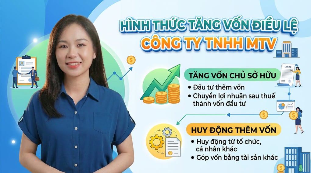 Hình thức tăng vốn điều lệ công ty TNHH MTV (Chi tiết)