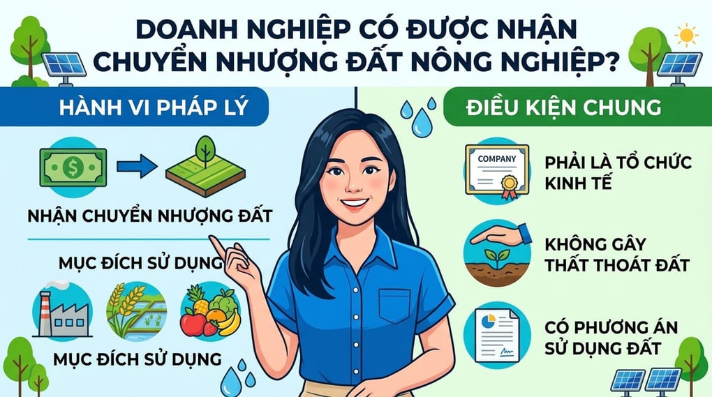 Doanh nghiệp có được nhận chuyển nhượng đất nông nghiệp?