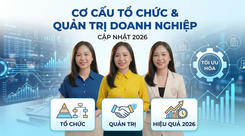 Cơ cấu tổ chức & Quản trị doanh nghiệp: Cập nhật 2026