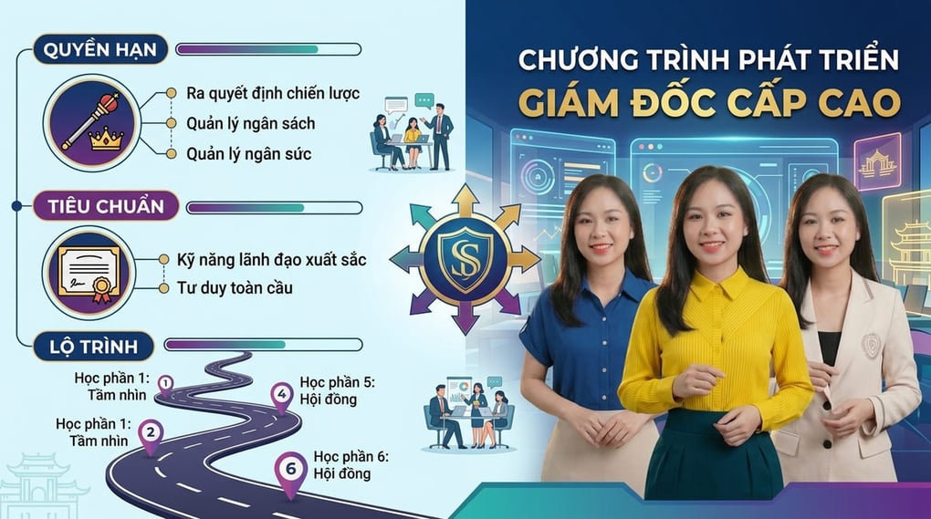Giám đốc cấp cao: Quyền hạn, Tiêu chuẩn và Lộ trình