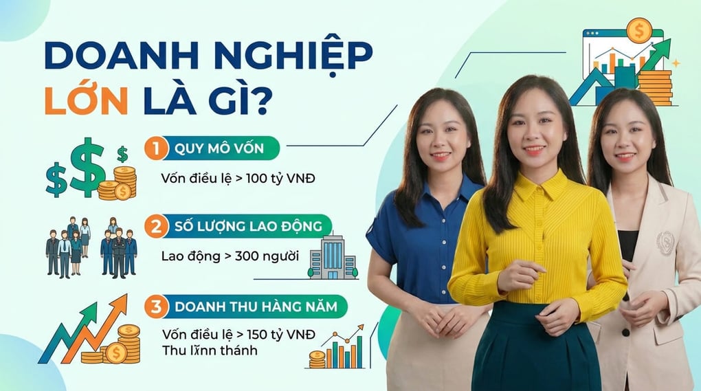 Doanh Nghiệp Lớn Là Gì? Tiêu Chí Phân Loại Quy Mô Chuẩn