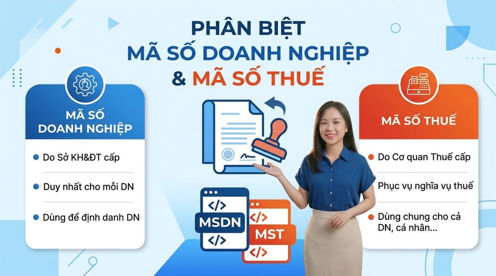 Mã số doanh nghiệp và mã số thuế: Phân biệt chi tiết