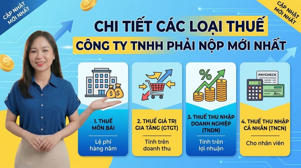 Chi Tiết Các Loại Thuế Công Ty TNHH Phải Nộp Mới Nhất