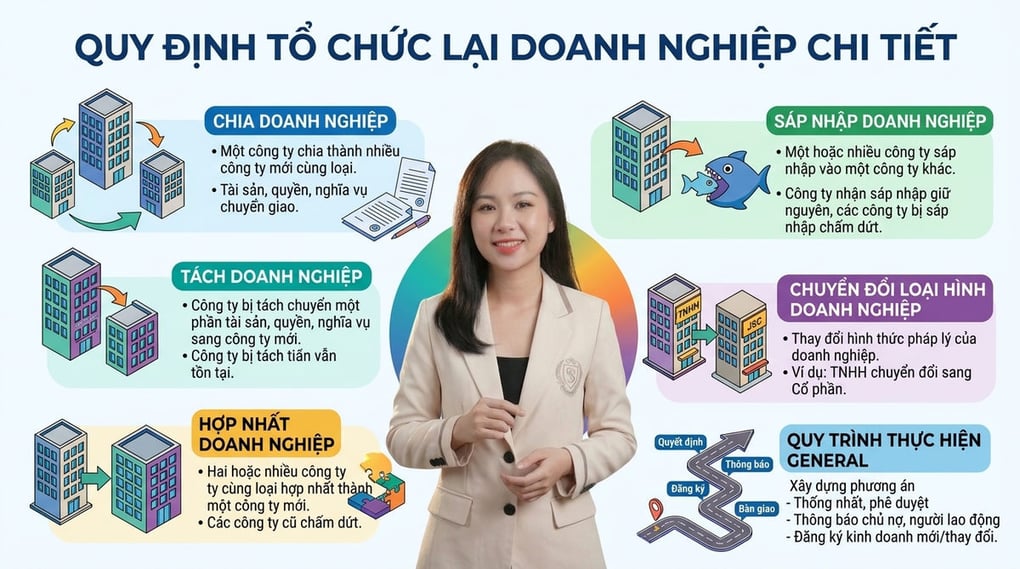Quy định tổ chức lại doanh nghiệp chi tiết nhất