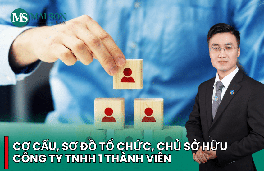 cơ cấu tổ chức công ty tnhh, cơ cấu tổ chức công ty tnhh 1 thành viên, công ty 1 thành viên, sơ đồ công ty tnhh, chủ sở hữu công ty tnhh 1 thành viên, sơ đồ tổ chức công ty tnhh 1 thành viên, các chức danh trong công ty tnhh 1 thành viên, chủ sở hữu của công ty tnhh 1 thành viên, công ty tnhh một thành viên do