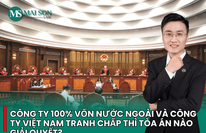 doanh nghiệp có 100 vốn đầu tư nước ngoài
