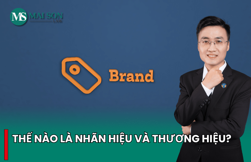 thương hiệu và nhãn hiệu khác nhau như thế nào, hàng thương hiệu