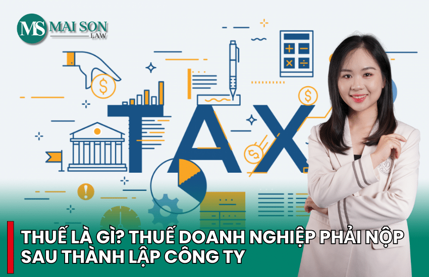 thuế công ty, các loại thuế công ty tnhh phải nộp