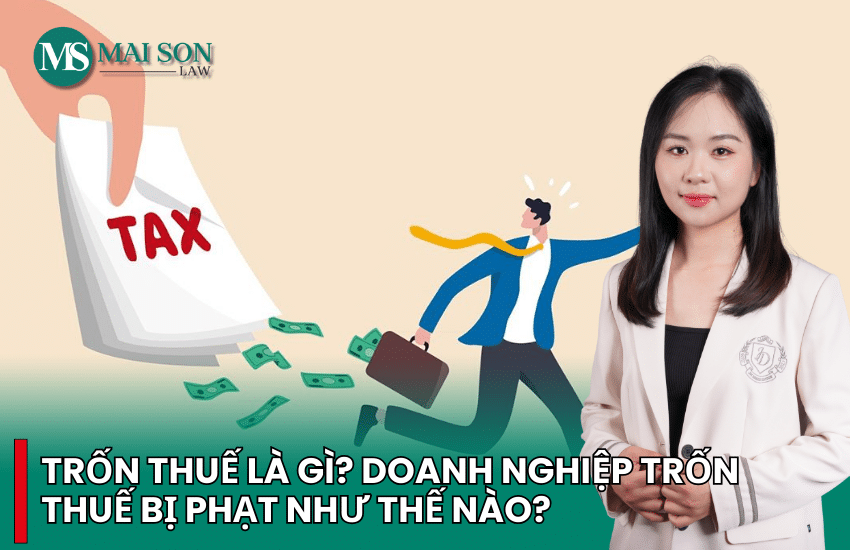 công ty trốn thuế ai chịu trách nhiệm, công ty trốn thuế