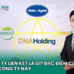 công ty liên kết là gì, công ty liên kết, công ty liên doanh liên kết